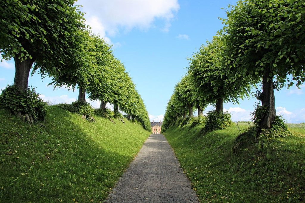 Moderne tuin als verlengstuk van de leefruimte met overkapping en comfortabel buitenmeubilair voor het hele jaar door